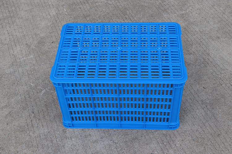 520 新藍（1.35kg）